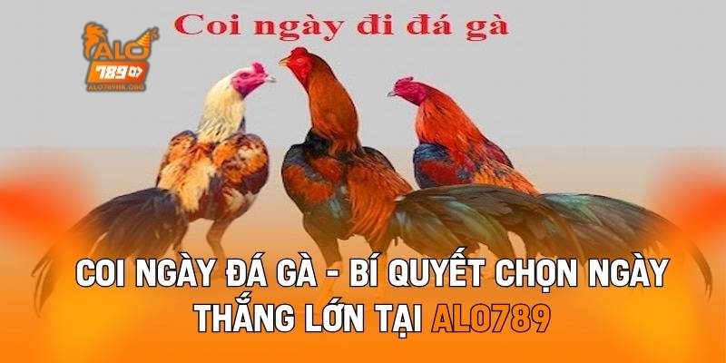 Coi Ngày Đá Gà - Bí Quyết Chọn Ngày Thắng Lớn Tại Alo789