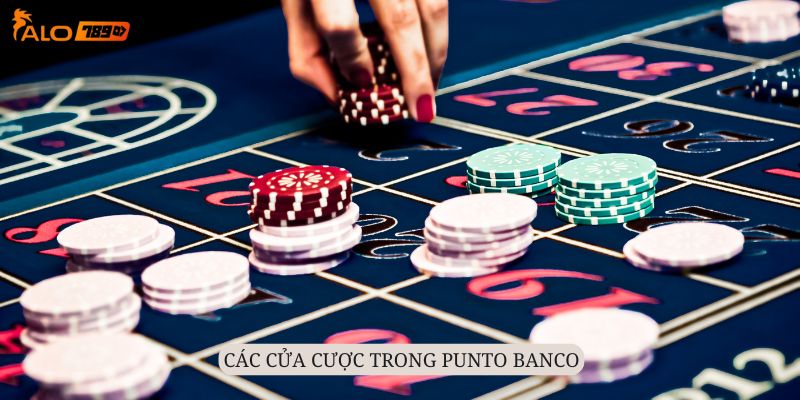 Đa dạng các cửa cược trong Punto Banco để hội viên chọn lựa