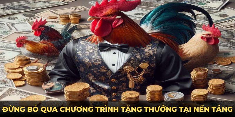 Đừng bỏ qua chương trình tặng thưởng tại nền tảng