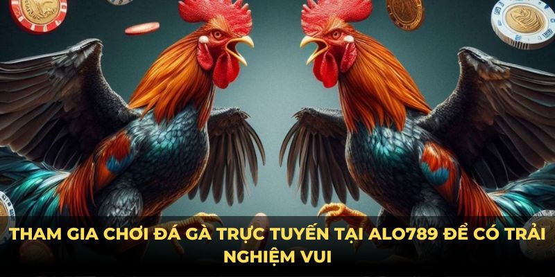 Tham gia chơi đá gà trực tuyến tại Alo789 để có trải nghiệm vui