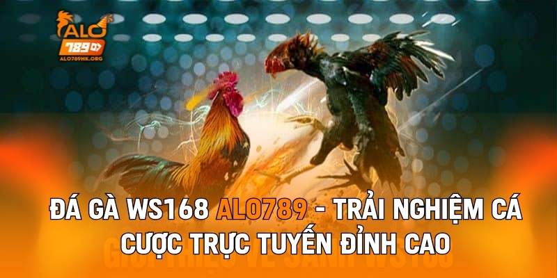 Đá Gà WS168 Alo789 - Trải Nghiệm Chọi Gà Trực Tuyến Số 1