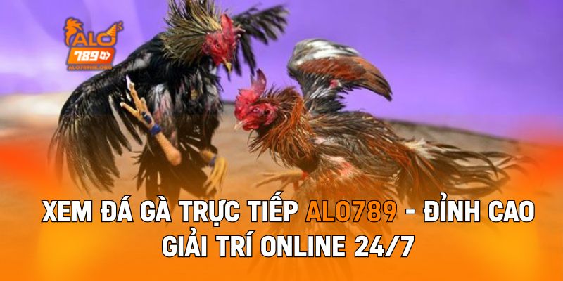 Xem Đá Gà Trực Tiếp Alo789 - Đỉnh Cao Giải Trí Online 24/7